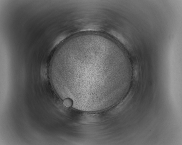 X0000114221258200910161300