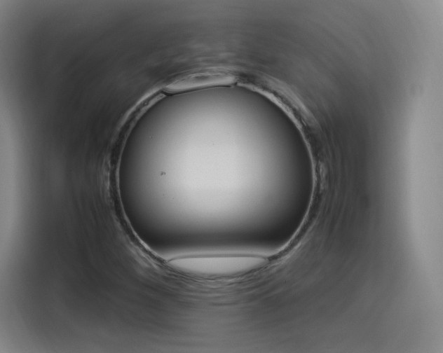 X0000114221260200910161300