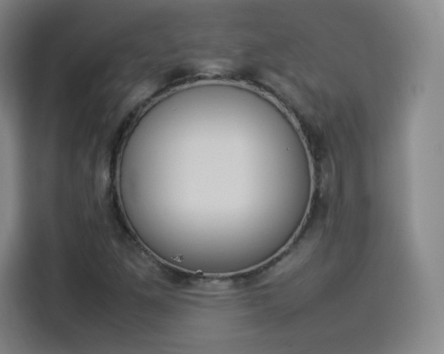 X0000114221261200910161300