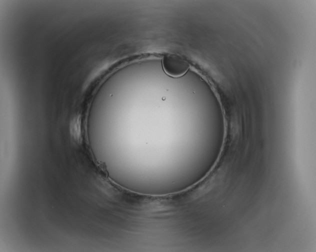 X0000114221262200910161300