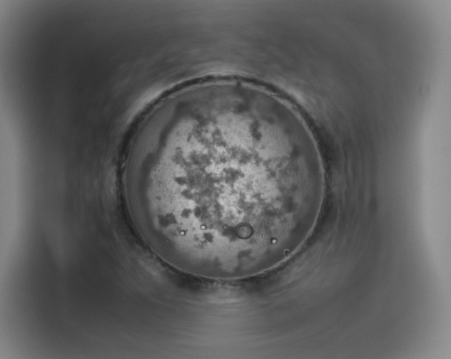 X0000114221263200910161300