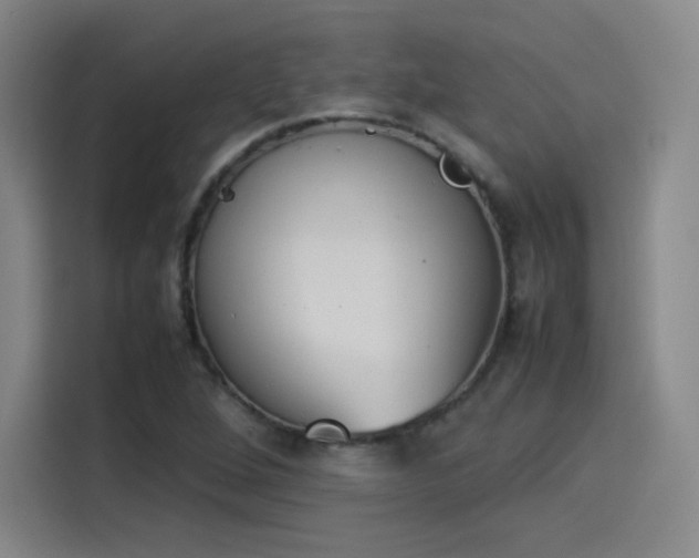 X0000114221264200910161300