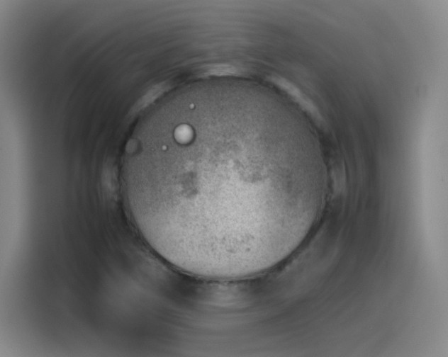 X0000114221266200910161300