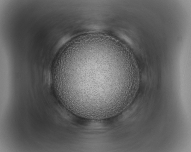 X0000114221267200910161300