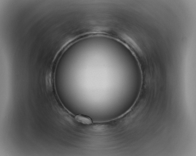 X0000114221268200910161300