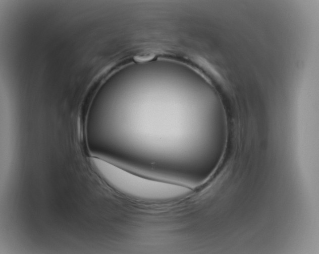 X0000114221269200910161300