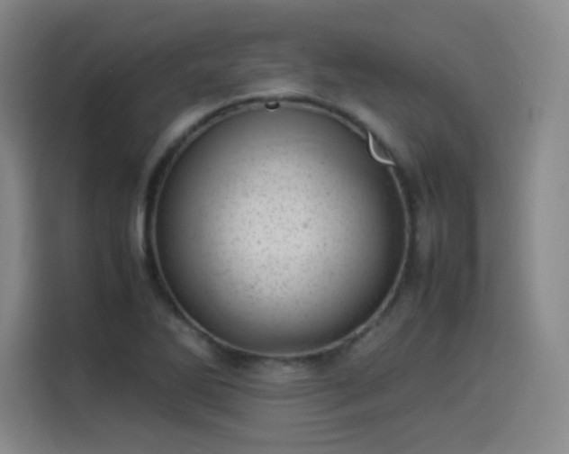 X0000114221270200910161300