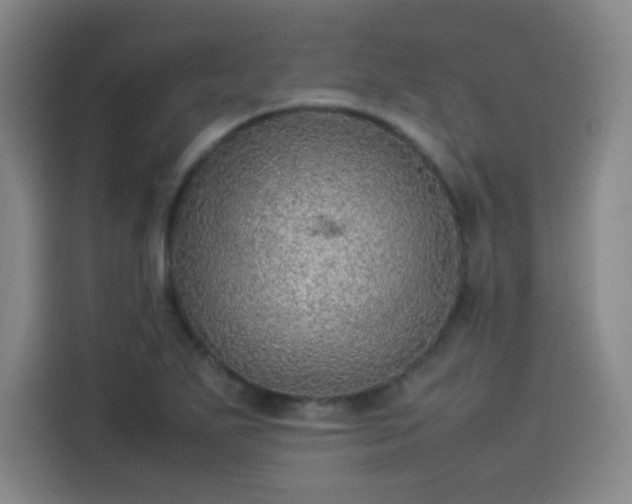 X0000114221271200910161300