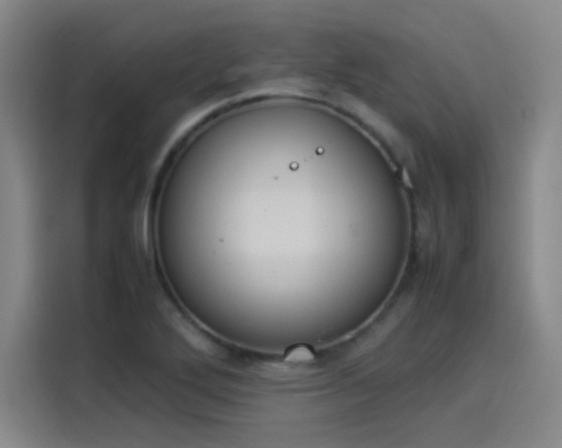 X0000114221272200910161300