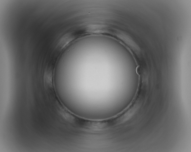 X0000114221273200910161300