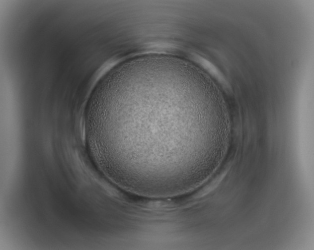 X0000114221275200910161300