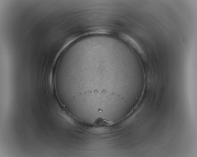 X0000114221276200910161300