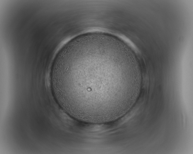 X0000114221279200910161300