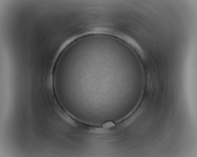 X0000114221280200910161300