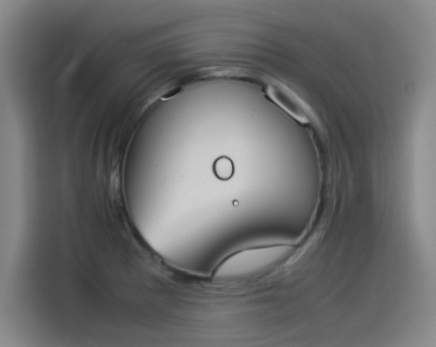 X0000114221281200910161300