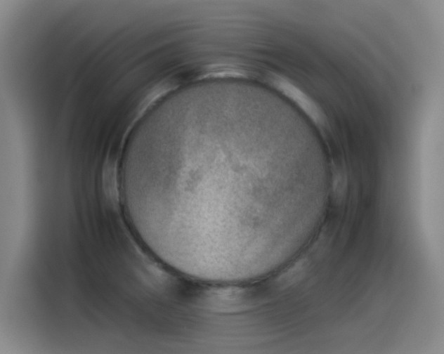 X0000114221282200910161300