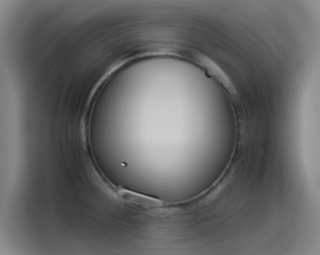 X0000114221284200910161300