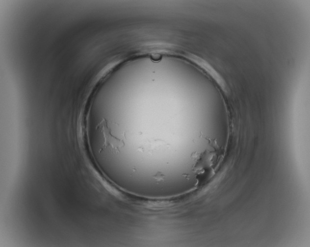 X0000114221285200910161300