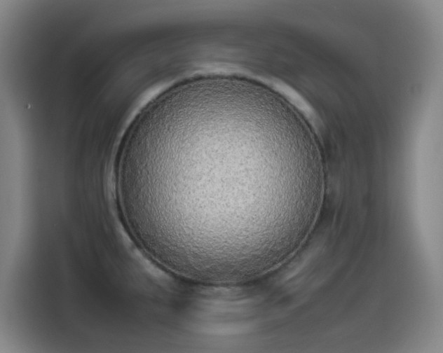 X0000114221287200910161300