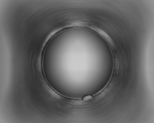 X0000114221288200910161300