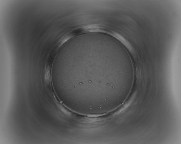 X0000114221289200910161300