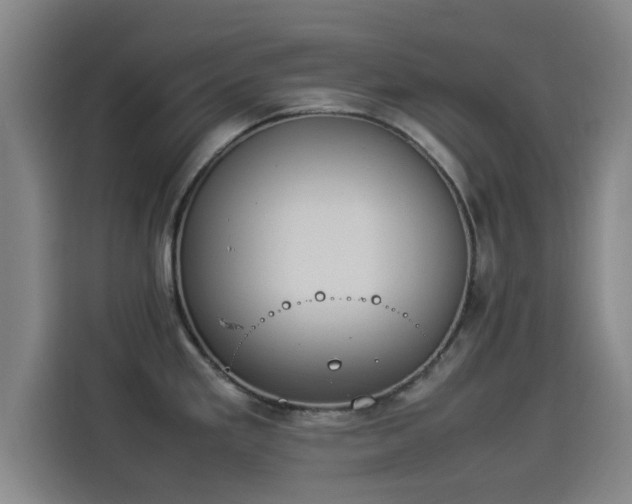 X0000114221293200910161300