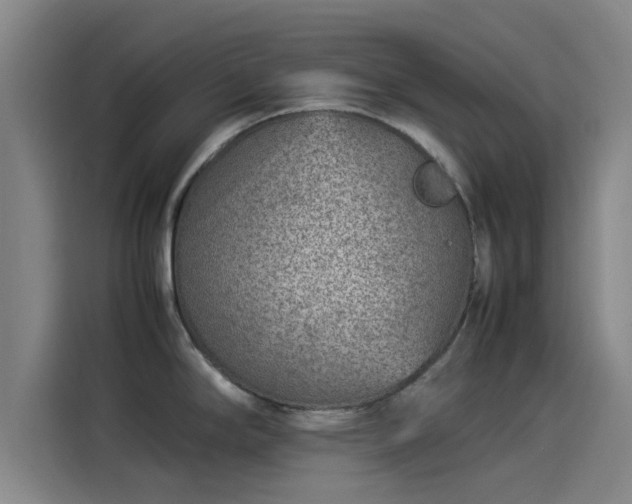 X0000114221294200910161300