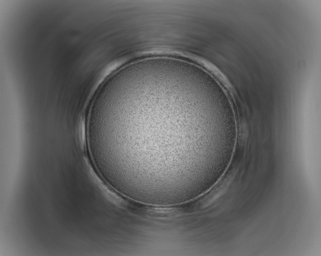 X0000114221295200910161300