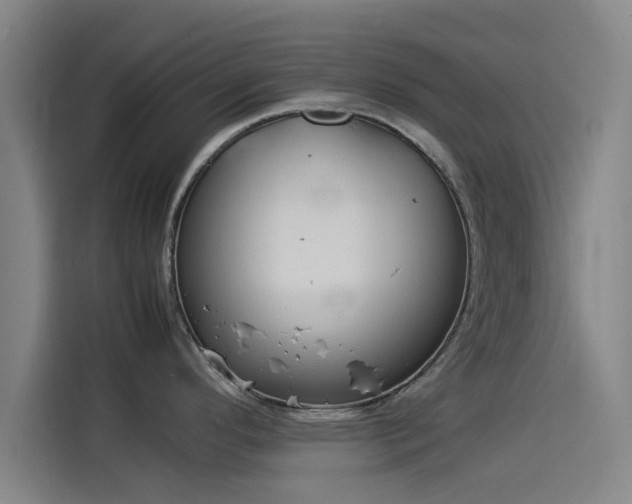 X0000114221296200910161300