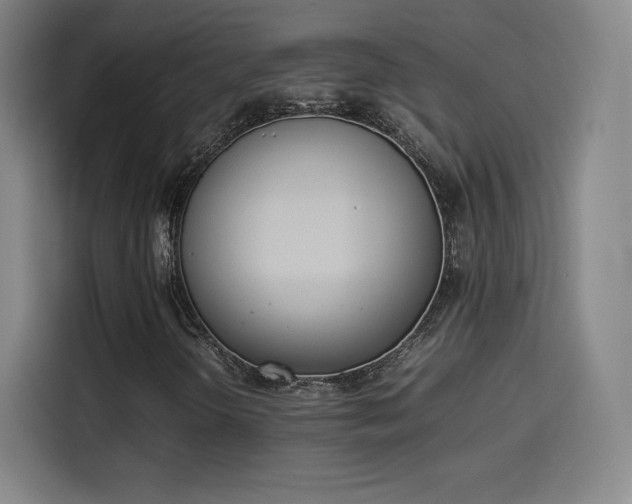 X0000114221298200910161259