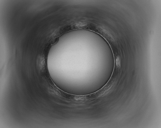 X0000114221299200910161259