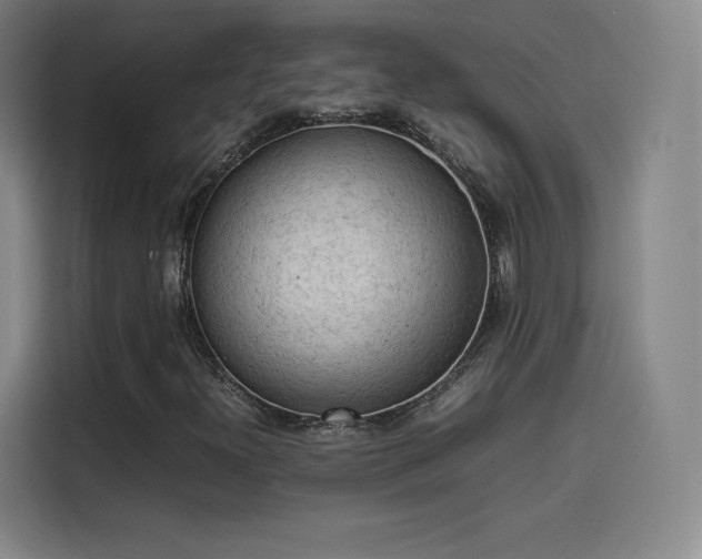 X0000114221300200910161259