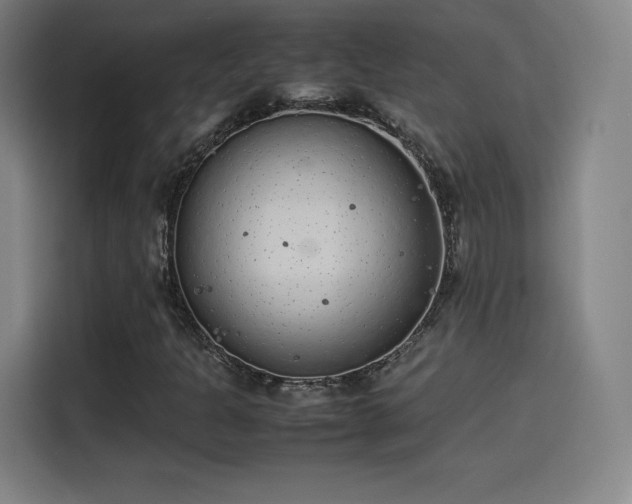 X0000114221301200910161259