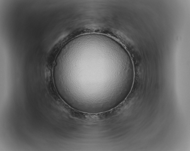 X0000114221302200910161259