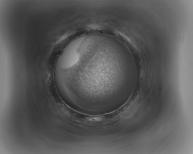 X0000114221303200910161259