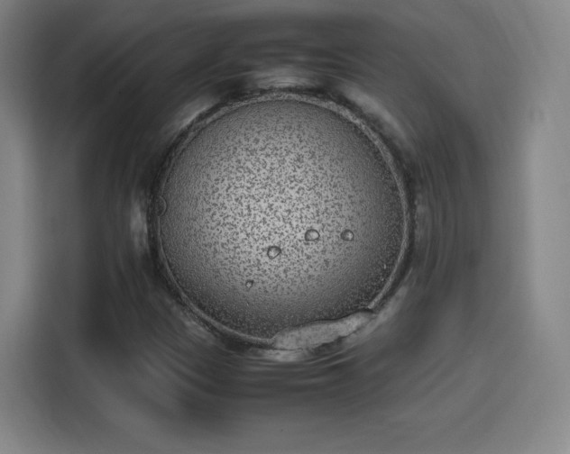 X0000114221305200910161259