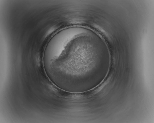 X0000114221306200910161259