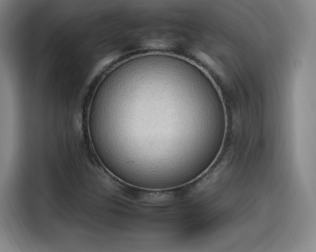 X0000114221307200910161259