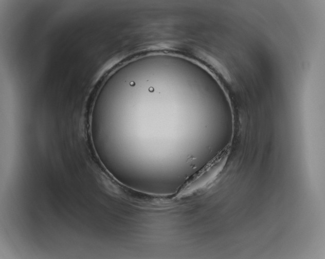 X0000114221308200910161259