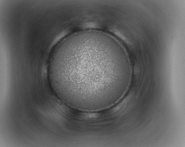 X0000114221309200910161259