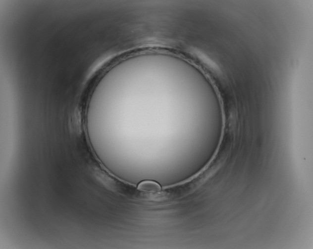 X0000114221310200910161259