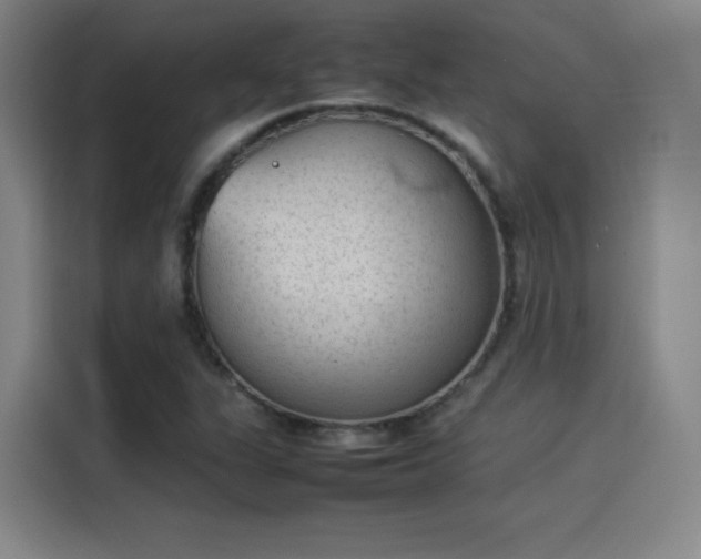 X0000114221311200910161259