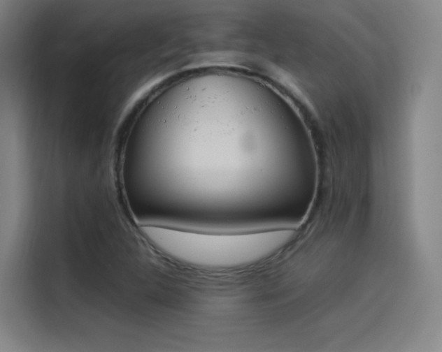 X0000114221312200910161259