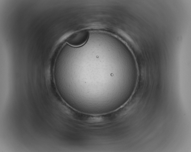 X0000114221315200910161259