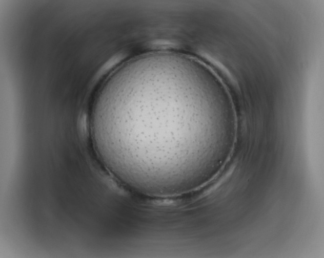 X0000114221317200910161259