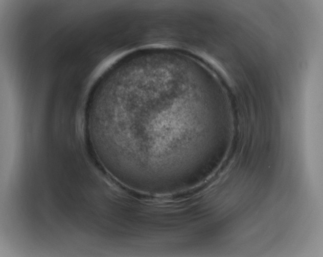 X0000114221319200910161259