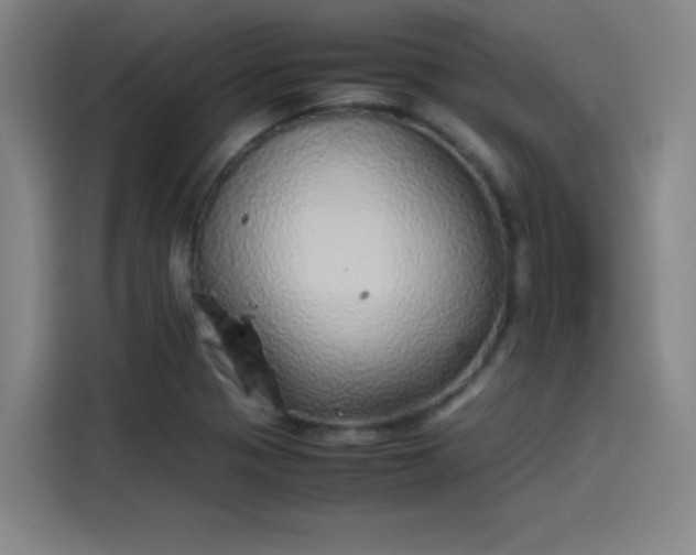 X0000114221321200910161259