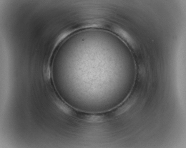 X0000114221324200910161300