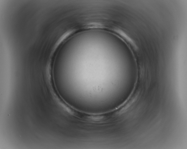 X0000114221325200910161300