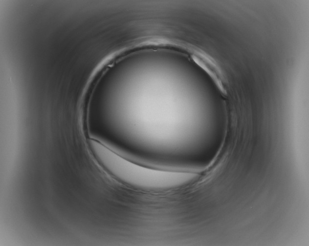 X0000114221326200910161300